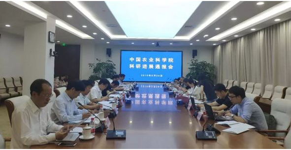 重磅！非瘟候选疫苗问世 养猪股急跌 疫苗股拉升