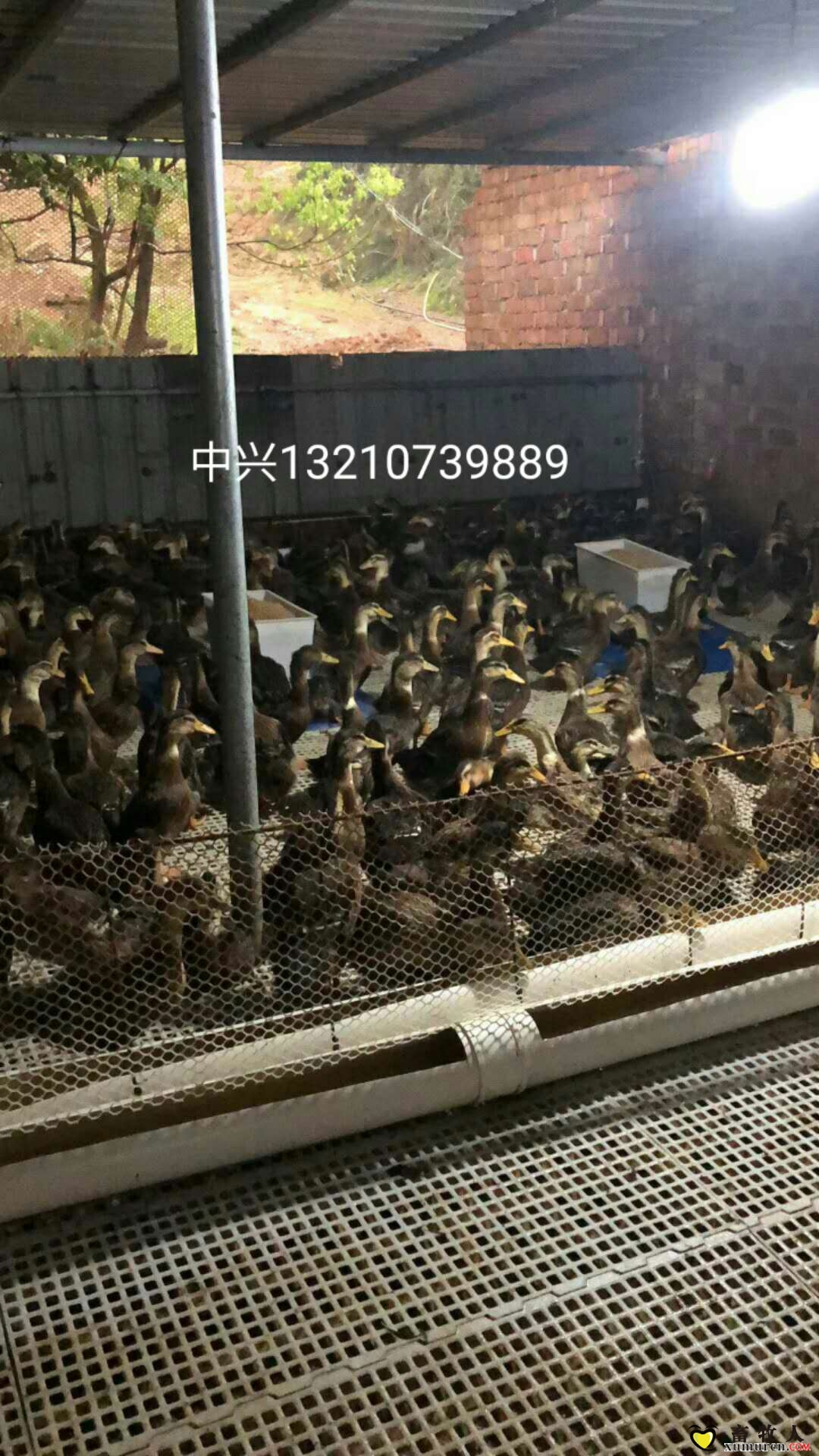 微信图片_20190511155956.jpg