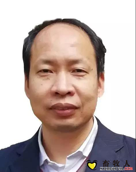 图片12.png
