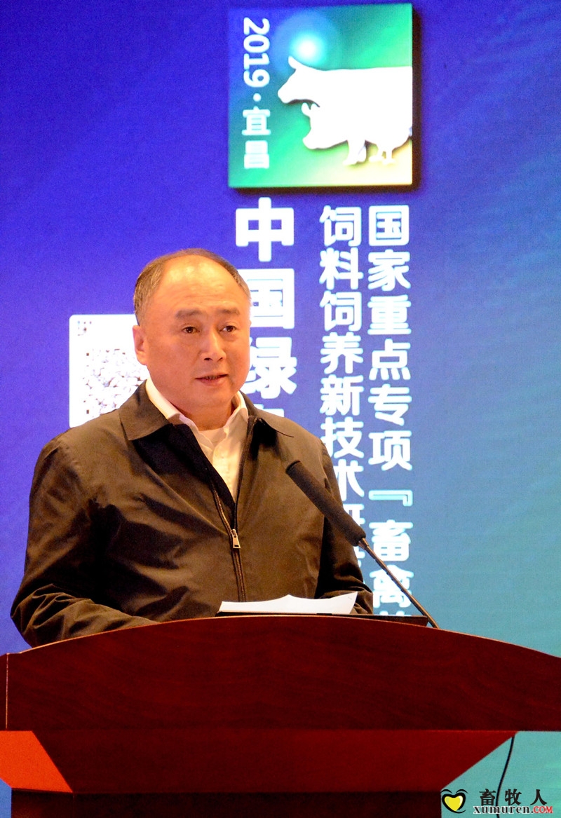 安琪董事长_副本.jpg