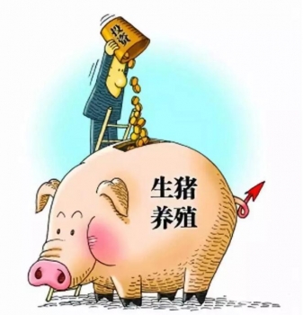 财政部：支持猪业发展，中央资金已下达完毕！