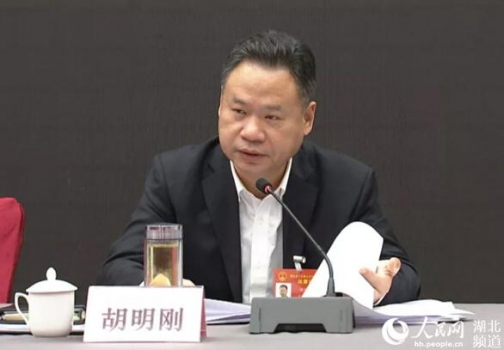 胡明刚代表：走好生猪绿色发展之路 实现生猪稳价保供