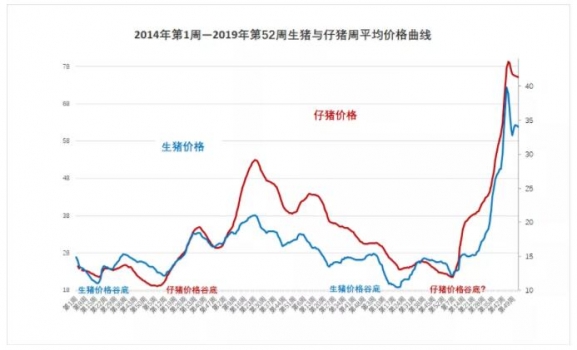 大数据：2019年养猪行情回顾及2020年猪行大趋势（利润比2019年更好）