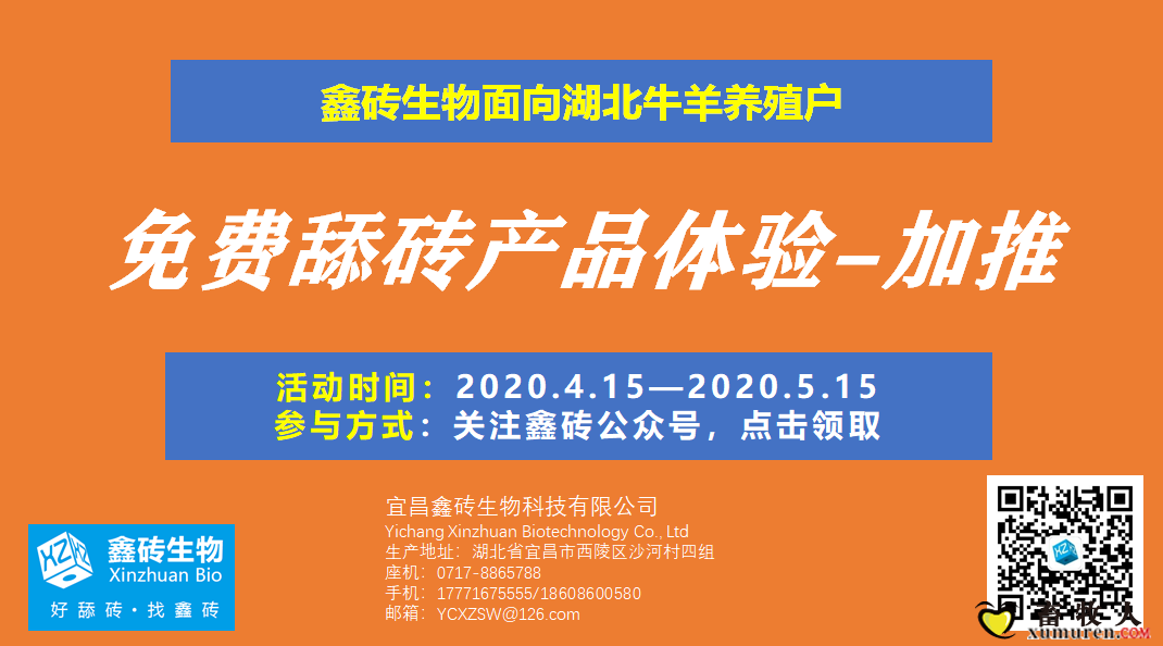 活动加推.png