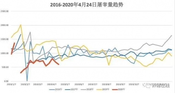 清明、五一猪价都不涨，反映一个重要信息！