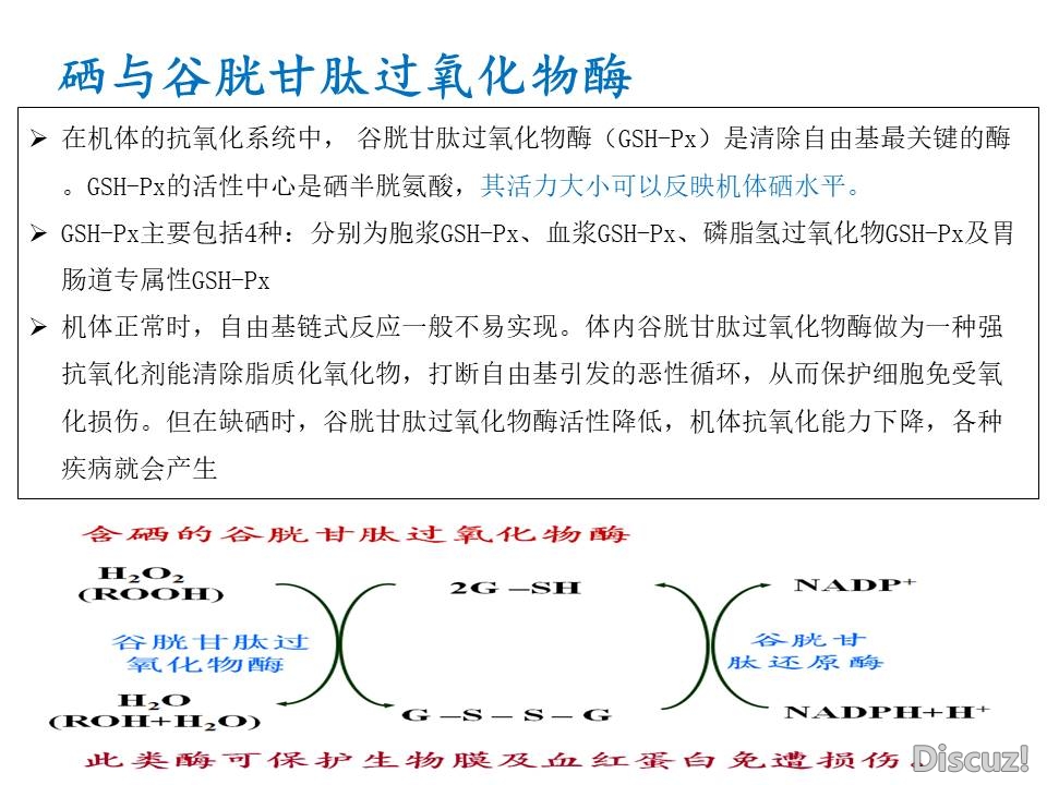 幻灯片6.JPG