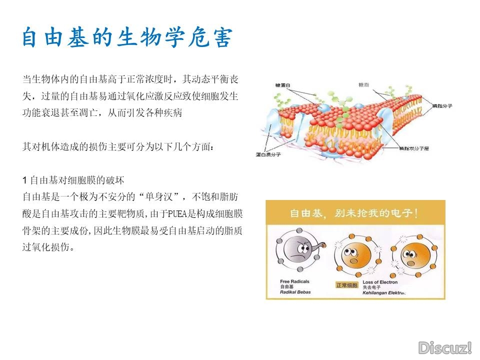 幻灯片13.JPG