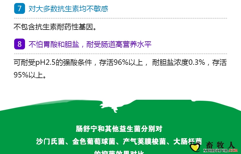 肠舒宁（麦克）_06.jpg