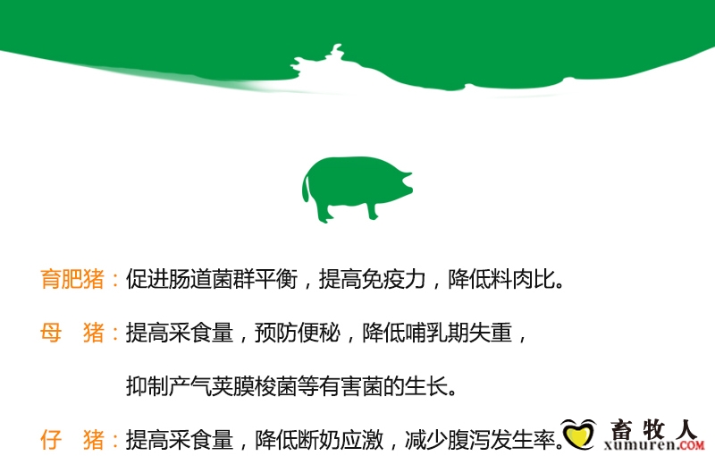 肠舒宁（麦克）_13.jpg