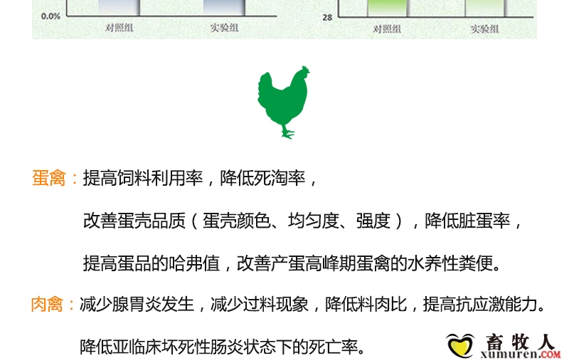 肠舒宁（麦克）_15.jpg