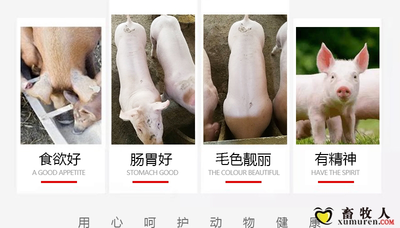 健利保_05.jpg