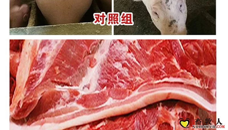 健利保_13.jpg