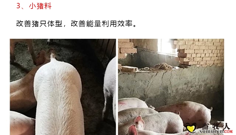 健利保_10.jpg