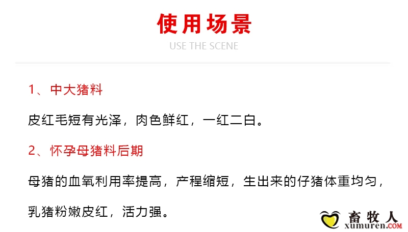 健利保_09.jpg