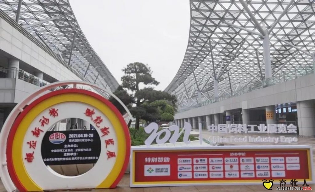 网红.jpg