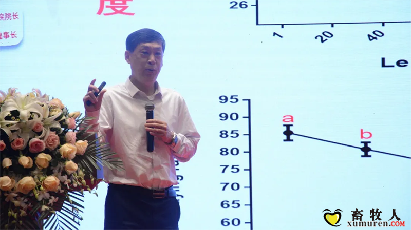 图片16.png