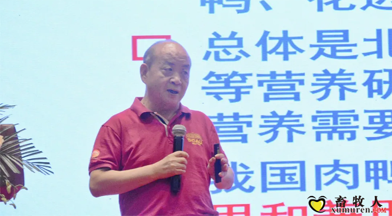 图片17.png