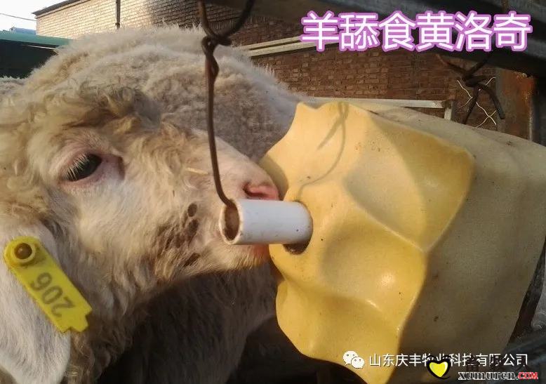 图片6.png