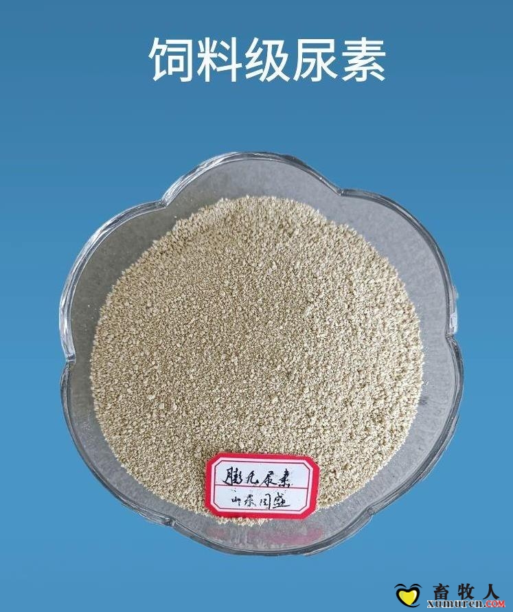 360截图20210918093157917.jpg