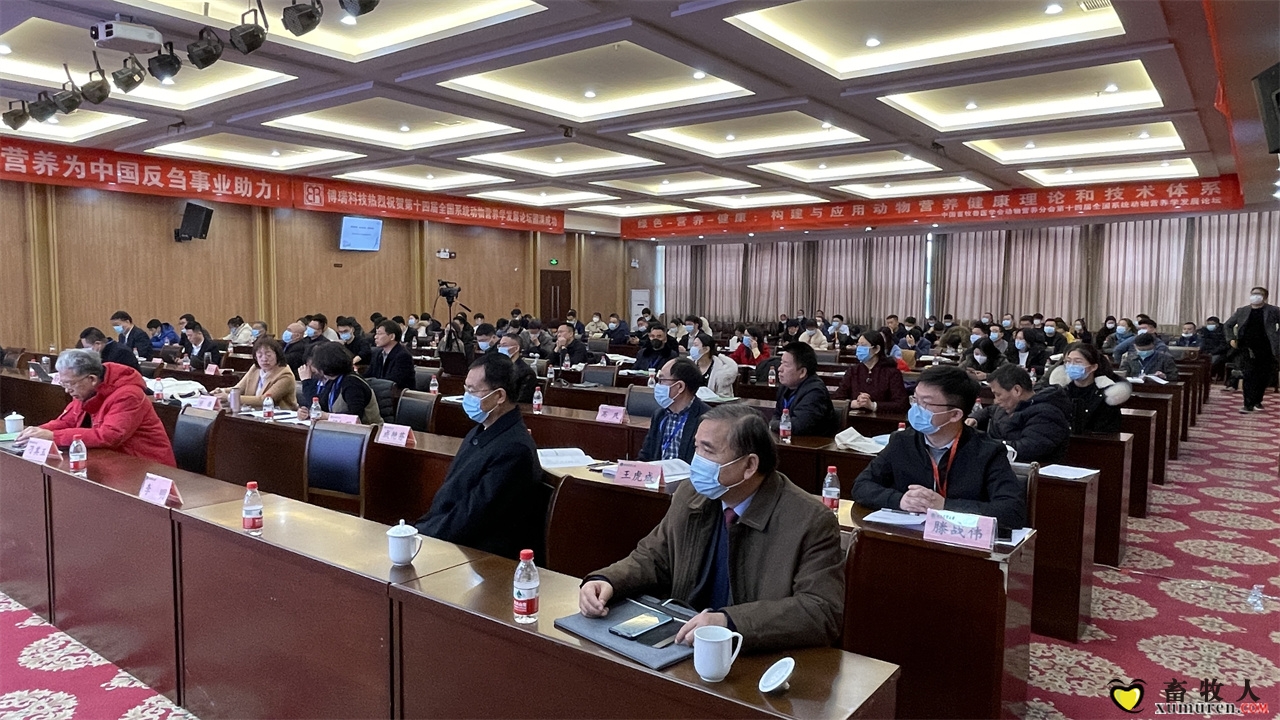 会议全景.jpg