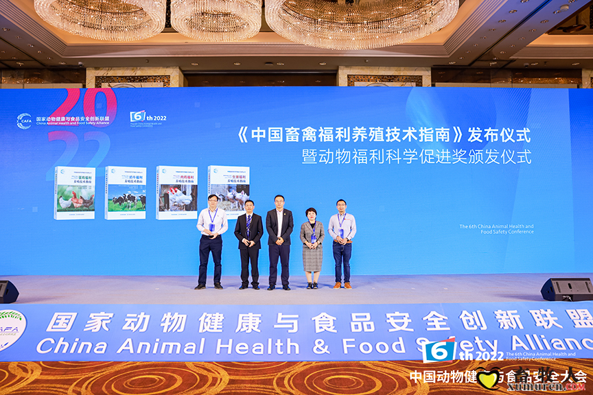 图片10.png