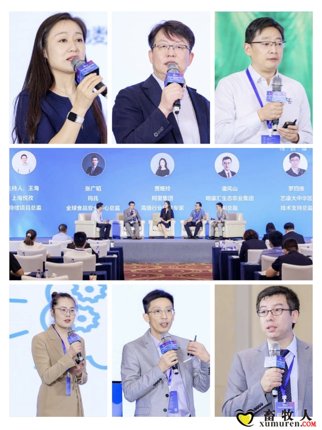 图片33.png