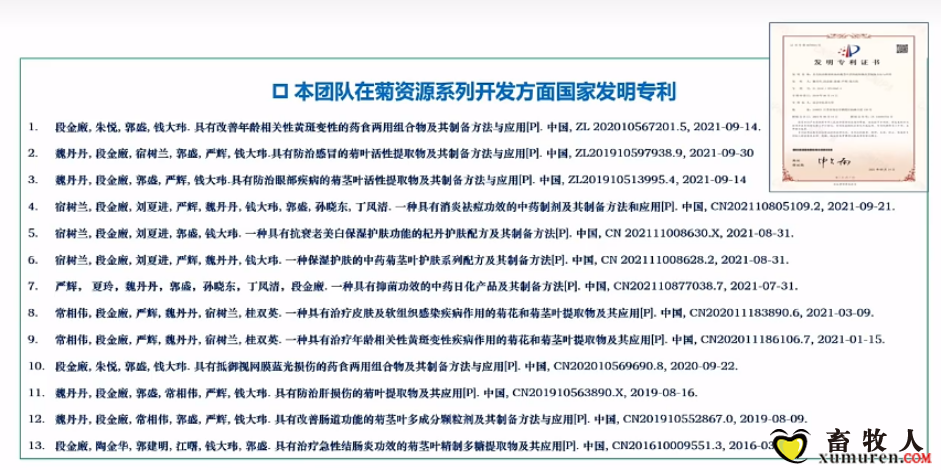 13.png