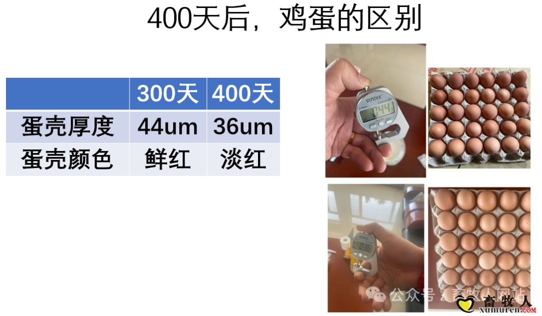 qw9.jpg