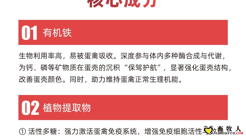植壳素-拷贝_05.jpg