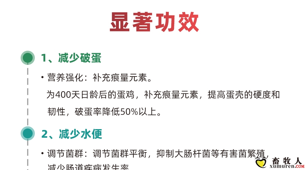 植壳素-拷贝_07.jpg