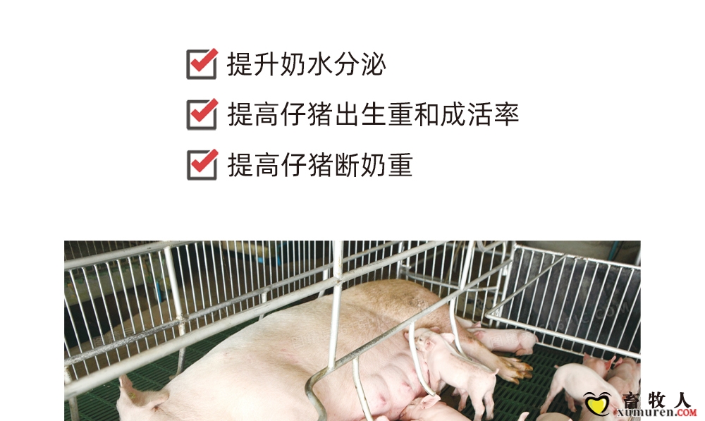 乳多宝-拷贝_02.jpg