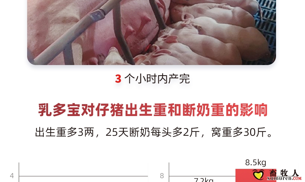 乳多宝-拷贝_08.jpg