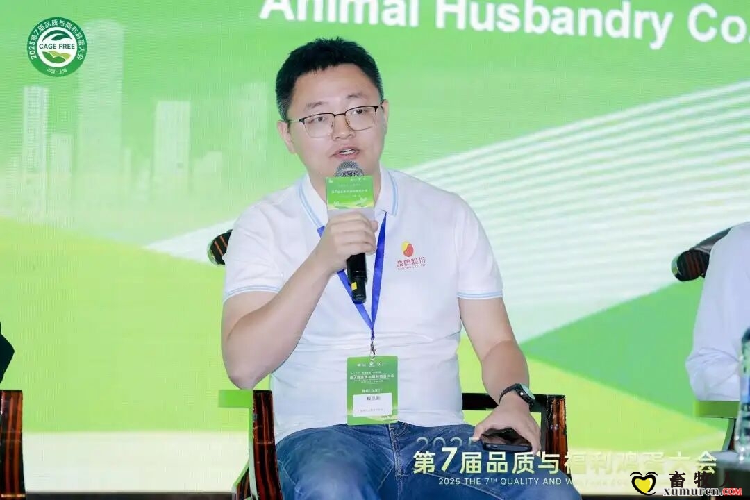 qw35.jpg