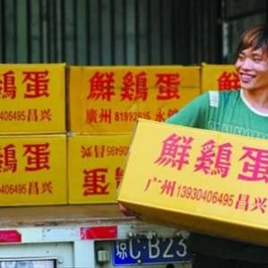 北京鸡蛋不淡定 每公斤零售价近9.5元