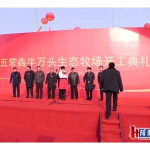 京鹏畜牧应邀出席五常犇牛万头生态牧场开工仪式隆重举行