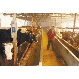 吉林两养牛基地被检出牛体含瘦肉精 一家达68％