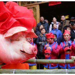 "年猪节"热烘烘 其意不在猪