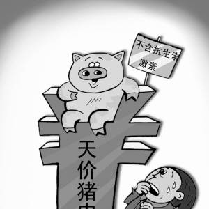 天价猪肉，谁是推手？