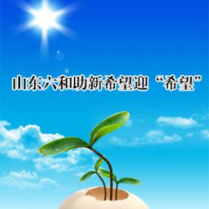 注入78亿优质资产   山东六和助新希望重组再迎希望