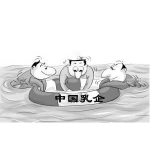 中国乳企之困：利润薄 出事多