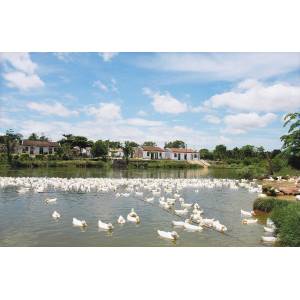 填补国内没有“无疫区”的空白