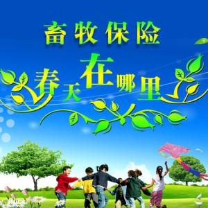 畜牧保险的春天在哪里