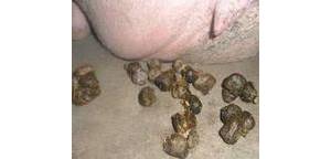 母猪便秘的生理性原因分析