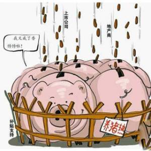 14家公司高调“养猪”
