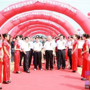 太平牧业十万头种猪养殖生产线正式投产