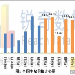 2012年9月12日猪评: 生猪微弱震荡