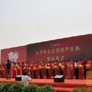 河南太平牧业10万头种猪养殖生产线正式投产