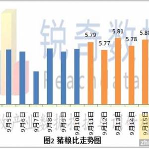 双节有望释放冻猪肉