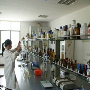 热烈祝贺双胞胎再获一项国家发明专利