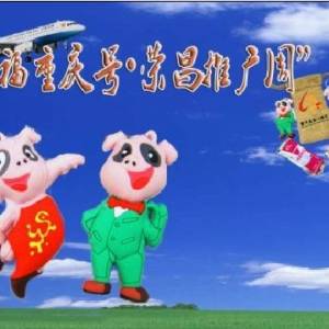 荣昌猪吉祥物获全国农业创意活动金奖